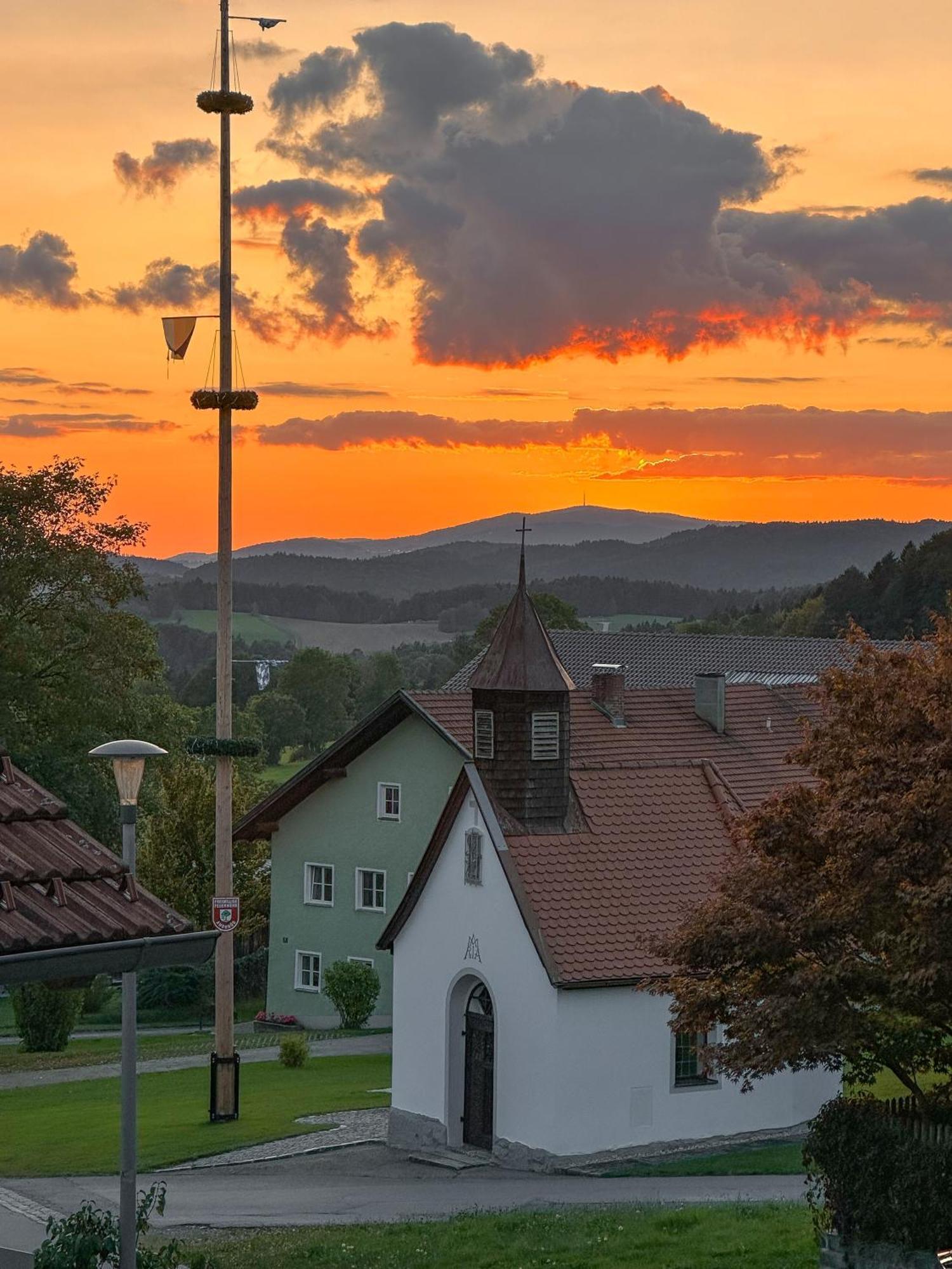 400Qm Bayerische Villa 2500Qm Uneinsehbarer Garten In Beliebter Urlaubsregion Freyung Dış mekan fotoğraf
